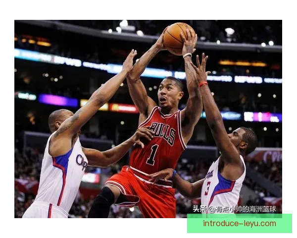 公牛队新赛季备战全面开启 罗斯归队引发球迷热议