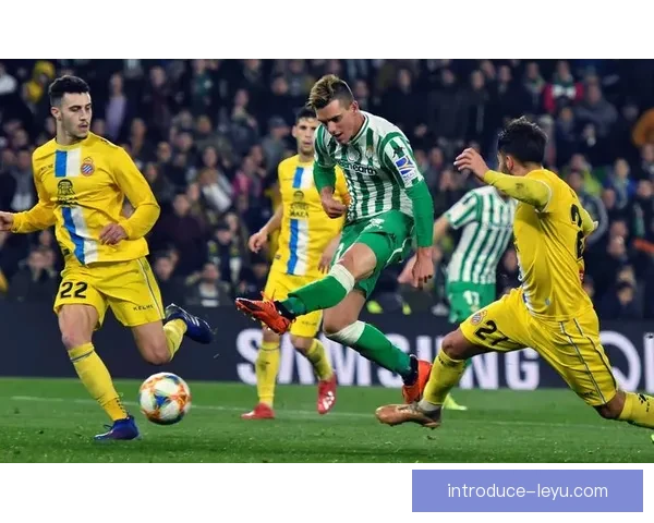 塞维利亚俱乐部最新赛季战绩与球员表现全面解析