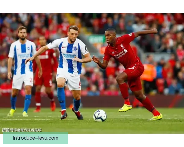 布莱顿俱乐部崛起之路英超黑马背后的战术与青训传奇解析全景观察