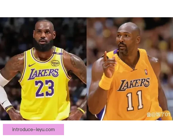 湖人詹姆斯伤愈回归助球队迎来连胜重燃季后赛希望