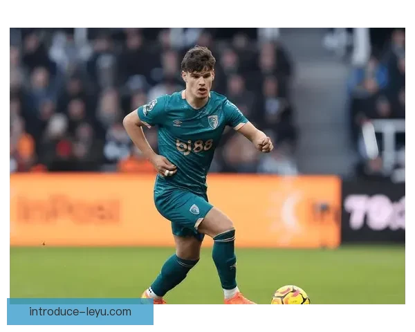 伯恩茅斯俱乐部崛起之路：从低谷到英超的奋斗历程与未来展望