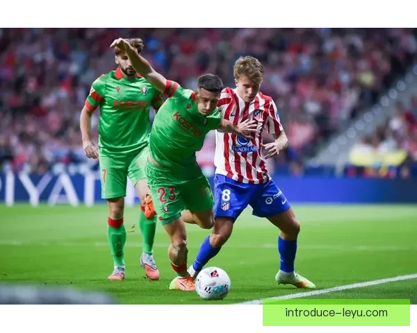 奥萨苏纳足球俱乐部历史成就与未来发展潜力分析