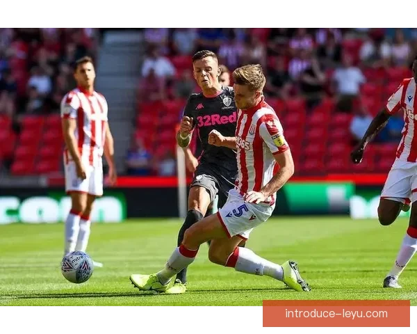 布莱顿俱乐部发展历程与未来战略探析分析