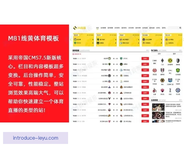 盘点热门足球比赛直播平台及高清观赛体验指南