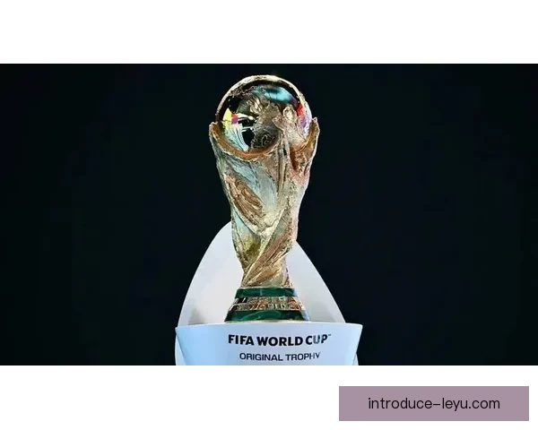 2026年世界杯冠军谁将问鼎足球荣耀赛场精彩预测